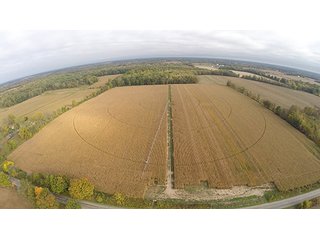 Property photo 9 - Southern Michigan Land Auction - 2 Auctions in 1 - 229+/- Acres and 66+/- Acres